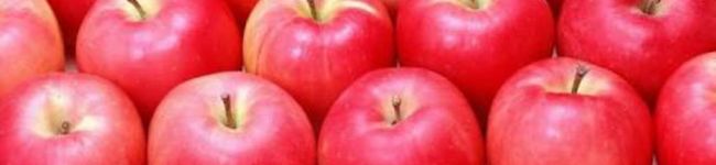 SkinApple's header image
