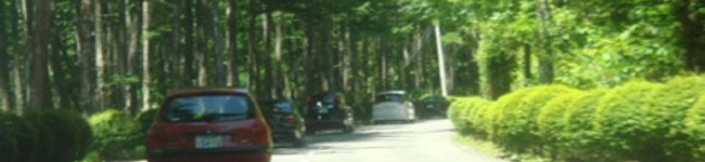 ROLLY617's header image