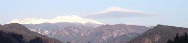 さくえも's header image
