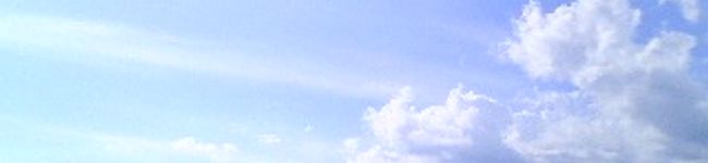 liebstraum's header image
