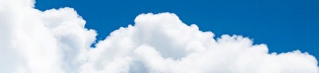 こしあんあん's header image