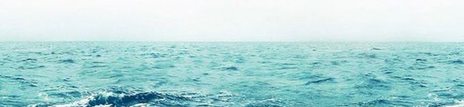 SAKAs☆'s header image