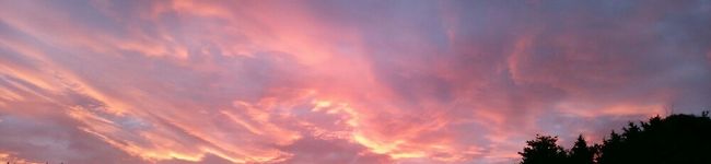 トラクマ's header image