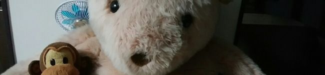 クマごろうとさる吉's header image
