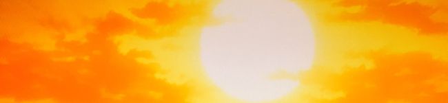summer♪'s header image