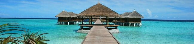 coconcocon's header image