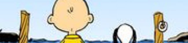 メェーめぇー's header image