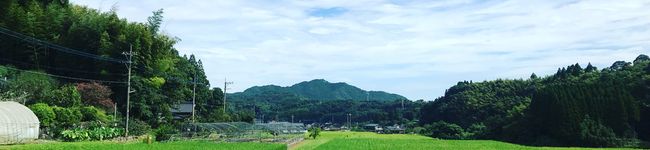 ズボラなデミ's header image