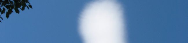どらぽん's header image
