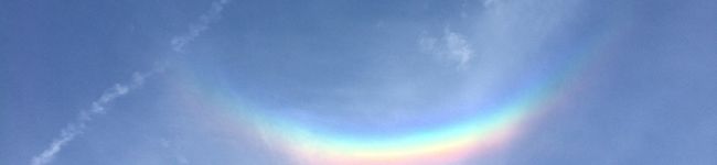 むいすけ✩'s header image