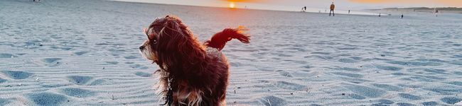 かのさん♡'s header image