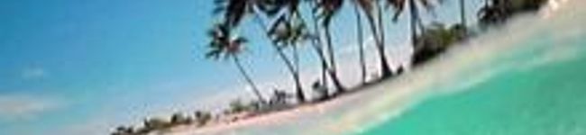 奈緒優希's header image