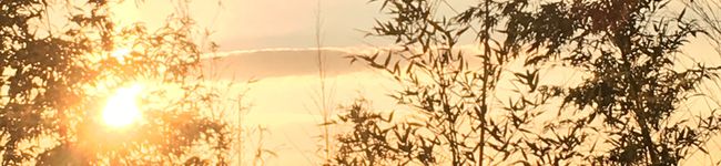 ＊fuyuka＊'s header image