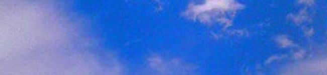 りんごのかお's header image