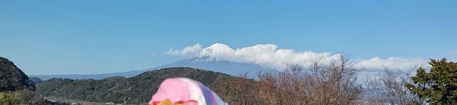 きりんアップル's header image