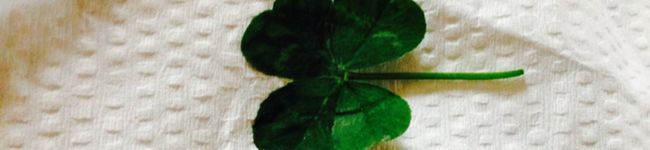 HRK8109's header image
