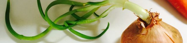 Lisaberiko's header image