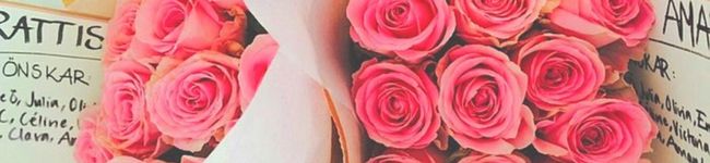 ❥ちゃんまほ❥'s header image