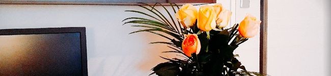 사야카☆SAYAKA's header image