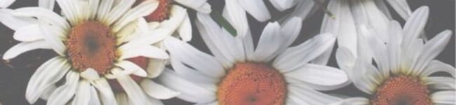 nanateen's header image