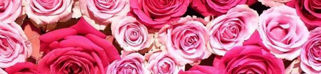 iMoon03's header image
