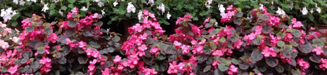 Jun0402's header image