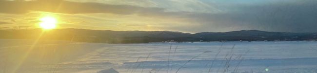 じゅより's header image
