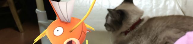 shizk！'s header image