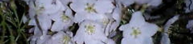 京吾クン's header image