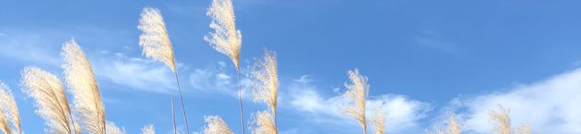 WendyLeung's header image