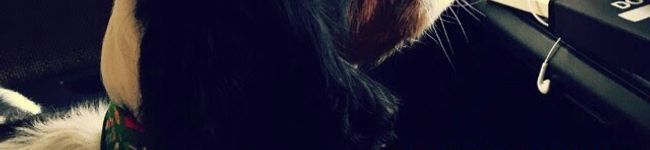3rdman333's header image