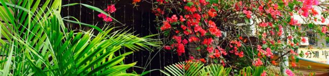 クック6TABWL☆'s header image