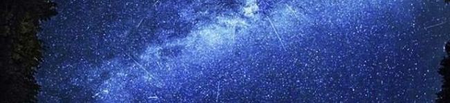 りこと's header image