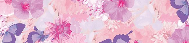 ✩coco✩'s header image