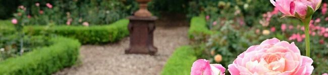 NachuM♡'s header image