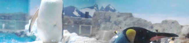 ＮＡＯＲＩＮＧＯ's header image