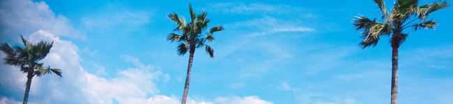 ねるぽ's header image