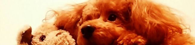 riyyyyyyko's header image