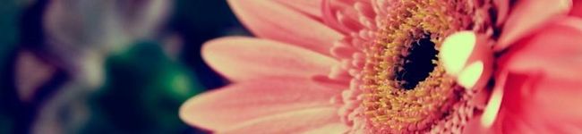 YASTN's header image