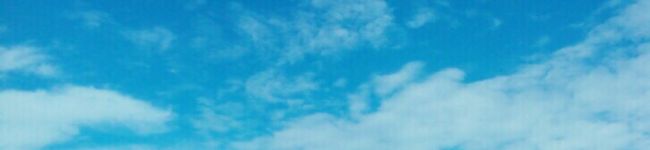 は_ち_み_つ's header image