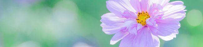 hinatasaan's header image