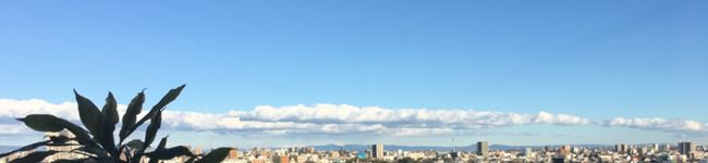 MNBTY's header image