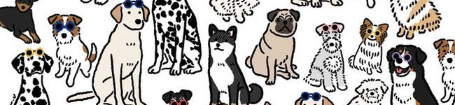 キンプリ's header image