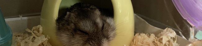 ELee1026's header image
