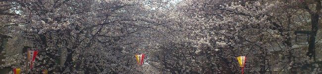 リクッキー's header image
