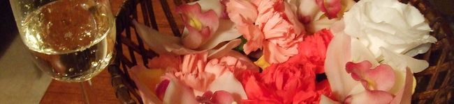mai.n_n.'s header image