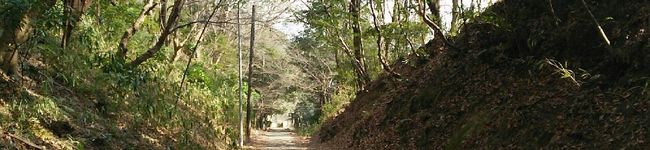 しまハハ's header image