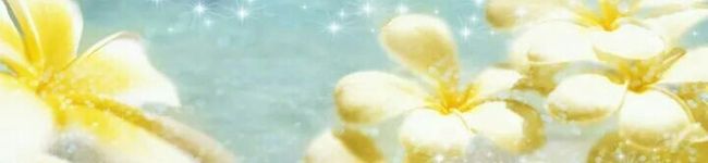 ☆健康美活キッチン☆'s header image
