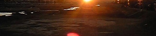 shanry's header image