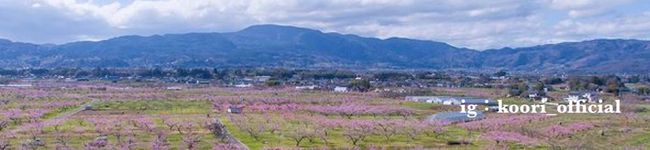 サ☆チ's header image
